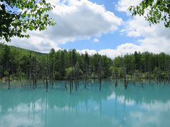２０１５　北海道で愛車を放牧（笑）　白金温泉～青い池～ラベンダーイースト～地球岬～洞爺湖