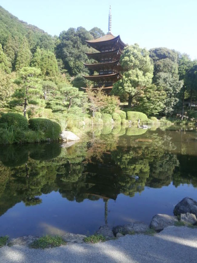 友人を案内して　中国地方一周の旅<br /><br />特に山口県には行ったことが無いので行ってみたいといわれていました<br /><br />二泊三日まるまる山口県見学に使ってみました<br /><br />幕末から明治維新の動乱が見えた気がします<br /><br />「やまぐち萩往還語り部の会」<br /><br />３時間コース<br /><br />５キロをガイドさんと歩くツアーです<br /><br /><br />まず頭に入れとくのは　山口は二度栄えたと言うこと　<br /><br />室町に大内氏の時代　かなりの都として栄えた<br /><br />二度目は江戸毛利の時代、長州毛利藩の萩からこの地に都を移して繁栄を見せる　そのころ毛利家が大内家の跡をあちらこちらに移していった様も残っていました