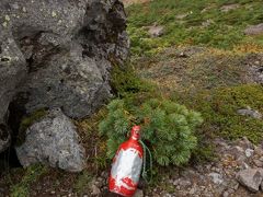 紅葉の見ごろを迎えた安達太良山