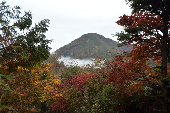 今年7月頃に9/26・27の土日に高妻山（たかつまやま）2,353Ｍに登りたいね～と埼玉のお友達と約束していました。<br />（90終わっていて、91座にチャレンジしたい埼玉の先輩！）<br /><br />今週末の天気は雨マークであまり良くなかったので、1度予約していた前泊の宿をキャンセルしたのですが、1日たったらその友達から良くなってきているよーと。<br />よく見たら最高ではないげれど、大雨ではなさそうなので・・GOしました♪<br /><br />初めは曇りでも近所の山々（戸隠山や飯綱山・妙高山など）がみれたのですが、途中から段々ガスガスの天候になってしまい一面真っ白けに。<br />高妻山は戸隠連峰の最高峰。登りもかなりの急登でした。<br /><br />下山は一不動の避難小屋コースですが、パラパラと小雨が降ってきました。ここには不動滝・帯岩・滑滝の渡渉コース。<br /><br />熟練者向けの山として紹介されていることもあり、憧れを持ちつつも大変そうな山でしたので、登頂できたときの安堵感や達成感は特別なものでした。<br /><br />3人とも無事に山行できて、戸隠神社の観光もできて戸隠蕎麦も堪能しました♪<br />