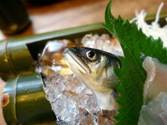 ０９．梅雨明け間近のエクシブ伊豆１泊　伊豆の鮎料理 鮎茶屋の昼食　三島市佐野体験農園 ズッキーニ・キュウリ・トマト・ピーマン・ナス・インゲンの収穫