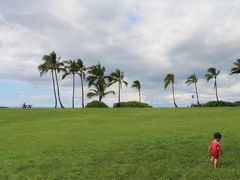 1歳児との子連れハワイ旅行（2日目　ドールプランテーション＆ノースショアドライブ編）