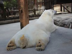 四国　初上陸！シルバーウィーク・四国の旅4日間　愛媛県編（とべ動物園）　Vol.3　<2015.9.19-22>