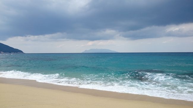 初めての屋久島！<br />屋久島といえば、縄文杉ですが、山登りも体力も自信がないので、今回はダイビングのみ！もうちょっと鍛えてからいつか山にも挑戦してみたいです！<br /><br />２泊３日と短い日程でしたが、内容の濃い屋久島ツアーでした！<br />屋久島の海はレアなサカナが多くておもしろかったです(≧∇≦)<br /><br />旅の日程：<br />１日目 2015/9/11(金)<br />　羽田空港6:40発→鹿児島空港8:25着(JAL641)<br />→鹿児島空港8:25発→屋久島空港8:45着(JAC3741)<br />→２ボートDV　民宿白谷泊<br />２日目 2015/9/12(土)<br />　３ボートDV　民宿白谷泊<br />３日目 2015/9/13(日)<br />　屋久島空港15:50発→鹿児島空港16:25着(JAC3752)<br />→鹿児島空港17:30発→羽田空港19:10着(JAL652)