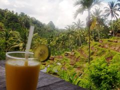 ＊BALI GIRL❤母娘バリ島女子旅⑧バリ2日目～ウブド観光～ライステラス（デガララン）＊