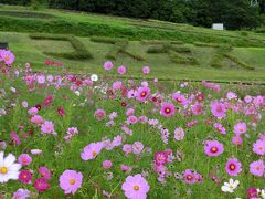 シルバーウィークは★長野～山梨　秋を満喫★