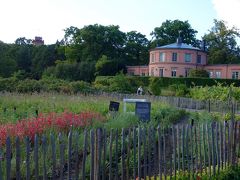 母子で旅する北欧 5日目②　<ストックホルム / ローゼンダール庭園 ・ヴァーサ号博物館 >