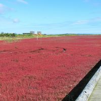 SW道東の旅：網走編