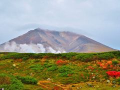 桐葉知秋 北海道紀行②富良野・美瑛・大雪山（旭岳）