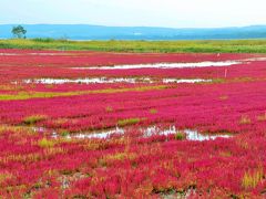 桐葉知秋 北海道紀行③能取湖・遠軽・層雲峡・ナイタイ高原牧場