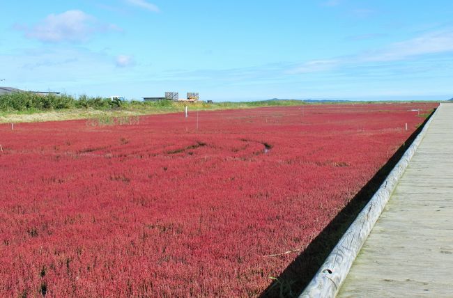 SWは久し振りに道東に出かけました。<br />やはり北海道の大自然はいいですね〜、心満たされ癒されました。<br />旅は網走から始まります。<br />