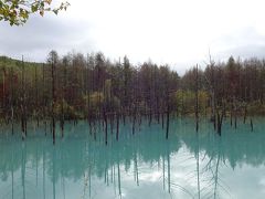 紅葉と降雪の接点を行く北海道の旅