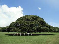 友達6人でＨＡＷＡＩＩ