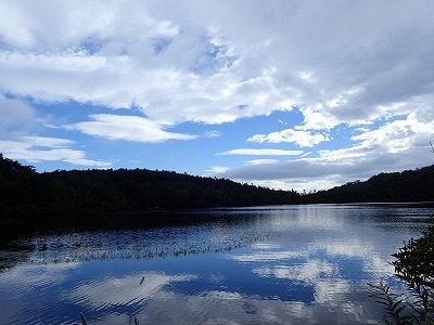 山登り始めました！＜北八ヶ岳苔の森と星空＞