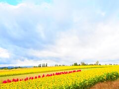 ☆.。.:*・°弾丸１泊２日姉妹旅～初北海道（スプウン谷のザワザワ村＆青い池）2015秋.。.:*・°☆