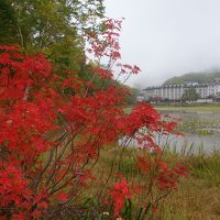 2015初秋の旅④霧の志賀高原