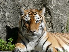 豊橋 のんほいパーク（動物園と遊園地）