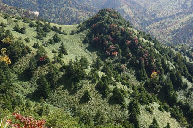 2015年9月最後の週末、少し気が早いとも思いましたが、紅葉を期待して志賀高原を旅してきました。<br />⑦は最終日の午後、「志賀草津道のドライブ」の記録です。<br /><br />【旅の概要】<br />9月26日(土)<br />長野駅でレンタカーを借りて、旅のスタート。<br />最初の目的地はカヤの平。<br />中野ICで高速を下り、志賀草津道路(国道292号)、奥志賀スーパー林道を走りカヤの平へ。<br />カヤの平でハイキングを楽しんだ後、奥志賀のグランフェニックスで1泊。<br />9月27日(日)<br />グランフェニックスを後に、午前中は奥志賀渓谷をハイキング。<br />午後からは、志賀高原をドライブし、県道66号豊野南志賀公園線で、奥山田温泉に満山荘に。<br />9月28日(月)<br />満山荘から志賀高原まで戻り、午前中は四十八池をハイキング。<br />午後は、渋峠からリフトで横手山に上り、その後万座温泉で日帰り入浴。<br />帰りは、万座温泉からもう一度志賀草津道路をドライブし、中野ICから長野駅まで戻る。<br />