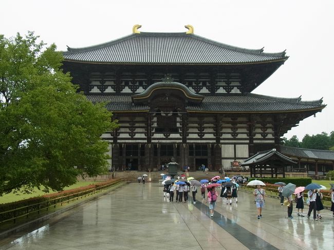 この年から一人旅が始まりました<br /><br />ＬＬＣを利用するのも初めてで、奈良に来るのは修学旅行以来、それもほとんど覚えていない<br />古事記をちらっと読んで、ガイドブックを片手に２泊３日のお寺巡りがそのまま世界遺産巡りになっていました<br /><br />２日目は平城京の西部に開けた西ノ京<br />そして、奈良市内に戻ってきた