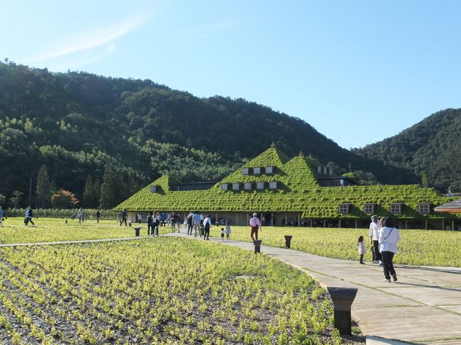 比叡山延暦寺を見た後は、お次の目的地、琵琶湖と近江八幡へ。<br />滋賀と言ったら琵琶湖。<br />大きい湖だから全貌は見渡せないけど、海のような湖を楽しみました。<br />近江八幡は、滞在時間が短かったのが残念だったな。