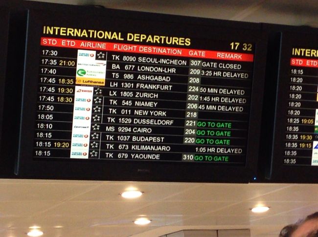 キリマンジャロ登山に向けて成田空港へ行くべく、成田エキスプレスに乗車し向かいました。<br />出発は10:05amのトルコ航空でした。<br />今回は成田-イスタンブール-キリマンジャロ、<br />キリマンジャロ-イスタンブール-ウィーン、<br />ウィーン-イスタンブール-成田　の移動です。<br /><br />長距離移動だからでしょうか、荷物（スーツケース）の重量が30kgとe-チケットはなっており、26kgの荷物だったので助かりました。<br />登山グッズなど荷物がかなり嵩みました。<br /><br />成田を定刻通りに出発し、イスタンブールへ向かいます。<br />機内食は日本食を選択。日本発の便だからでしょう、とても美味しかったです。<br />この先に機内食で日本食はありませんでしたが、機内食はどれも美味しかったです。<br />ただ機内のモニターは途中でバグってしまい、どうにもならず、ＣＡさんに伝えて再起動をかけてもらいました。<br /><br />イスタンブールには定刻より15分早い16:30に到着。<br />そこからが長かった・・・。<br />到着しても空港滑走路周辺が混んでいるのか、なかなか機から降りることができず、やっと降りれても移動はバスで。。<br />バス周辺も混んでおり、なかなかバスも発車できず、結局定刻より15分遅れの17:00に到着。<br />そこから急いで次の乗り換えへ。<br />18:45発だったのですが1時間遅れに変更になり、キリマンジャロ行きの便へ搭乗後も滑走路が混んでおり結局2時間遅れでキリマンジャロ国際空港に到着。<br />数年前にダルエスサラーム、ザンジバル、アルーシャの空港を経験しており、キリマンジャロ空港を全く期待していなかったのですが、想像より大きく、想像より綺麗で、想像よりお土産物屋がしっかりありました。<br />（キリマンジャロ発の便の旅行記に書きます）