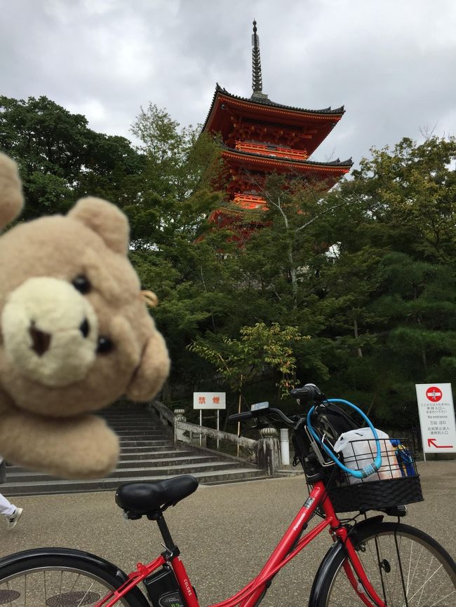 クルマでは渋滞が多い京都では、電動アシストの自転車がオススメです。<br />今回、初めてそれを体験してびっくりの素晴らしさ。<br />平地は、もちろん、坂道もスイスイ。<br />どんな細い道もショートカットに使えるし。<br />最高でした。<br />ハイドラというのは、ハイタッチドライブという、チェックポイント集めのアプリで、全国8万人のユーザーがいます。<br />チェックポイントには観光地、駅、有名スポットなど2万カ所が収録されています。<br />文中、「緑化」というのは、ハイドラでは「訪問したポイントが緑になる」ということから来ています。<br />ハイドラについてはこちら-->http://mackenmov.sunnyday.jp/macken/travel_japan/hidra/hidra.html<br /><br /><br />よければこちらも<br />日本一周ホームページ<br />http://mackenmov.sunnyday.jp/macken/travel_japan/index.html<br /><br />http://mackenmov.sunnyday.jp/macken/travel_japan/2015travel/201509travel/1509kyoto/1509kyoto1.html