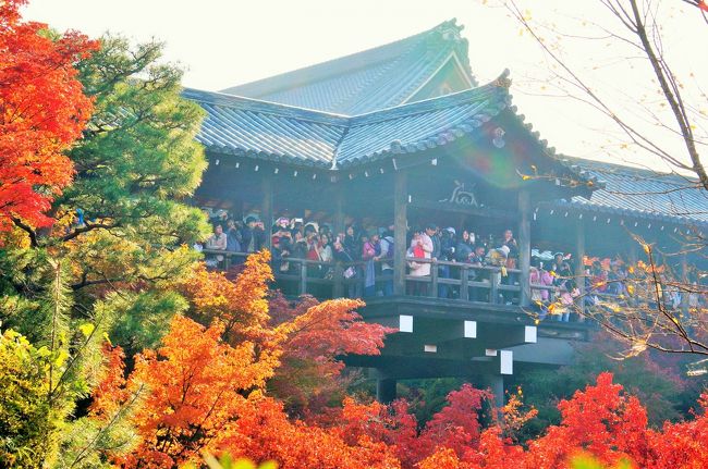 もうすっつかり夏から秋になり、今年も紅葉が待ちどうしい季節になりました。<br />昨年に撮影した東福寺、清水寺を思い出しながら、旅行記に投稿させて頂きます。<br />名古屋を4時半に出発し、京都市伏見区にパーキングし酒蔵、伏見の古い街並みを散策、<br />その後、京阪電車に乗り東福寺を撮影し、三十三献堂まで撮影しながら散策、その後昼食を京都駅横の<br />第一朝日でラーメンを頂き、清水さんへ、パーク＆ライドの旅です。