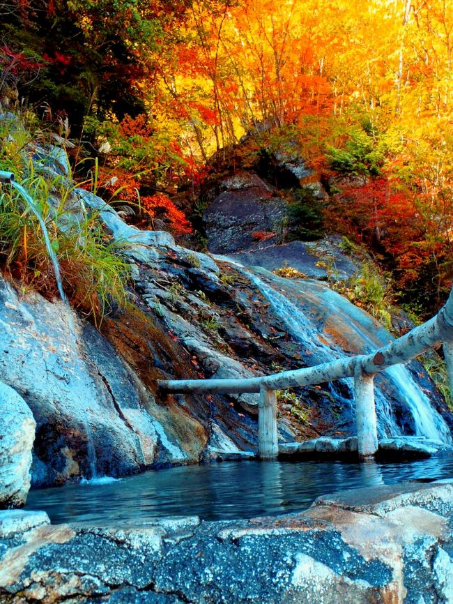 2014年10月連休、秘湯、八丁の湯から見た奥鬼怒の紅葉です。<br />天気最高の1日、輝く紅葉を見て来ました。