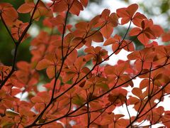 久々の日光　温泉と滝と東照宮を楽しむ旅・2