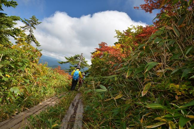 会津駒ヶ岳に行ってまいりました。<br /><br />なんちゃって登山のFitzでございます。<br /><br />同行者はトンさんとタルトさんです。<br /><br />初のテント泊はどうなることやら<br /><br />会津駒ヶ岳　標高2133m　標高差1028m<br /><br />4泊概要<br />9月19日〜9月20日　かわばたキャンプ場　<br />大人一人500円　車一台500円<br /><br />9月20日〜9月21日　みやまえ食堂キャンプ場<br />大人一人500円　車一台500円<br /><br />9月21日〜9月22日　片品温泉　ホテル千代田館<br />一泊夕食のみ　9450円<br /><br />9月22日〜9月23日　花咲温泉　よしや荘<br />一泊二食　7450円<br /><br />記録です。<br /><br />2015年9月20日登山　天候　曇りのち晴れ　　<br /><br />07時05分　　国道沿い滝沢口を出発<br /><br />07時45分　　滝沢登山口より登山開始<br />07時52分　　山頂まで4.7キロ地点を通過<br />08時20分　　山頂まで4.1キロ地点を通過<br />08時40分　　5分休憩<br />09時21分　　山頂まで2.9キロ地点を通過　<br />09時25分　　山頂まで2.7キロ地点を通過<br />09時44分　　山頂まで2.2キロ地点を通過<br />10時04分　　山頂まで1.7キロ地点を通過<br />10時22分　　山頂まで1.2キロ地点ベンチにて<br />                 5分休憩<br />10時46分　　駒の小屋前通過<br />　　　　　　（山頂まで0.7キロ地点）　　　<br />11時08分　　会津駒ヶ岳頂上到着<br />　　　　　　（登山開始より3時間23分経過）<br /><br />11時11分　　下山開始<br />11時30分　　駒の小屋前到着　50分食事休憩<br /><br />12時19分　　駒の小屋出発　<br />12時34分　　山頂まで1.2キロ地点ベンチ通過<br />12時44分　　山頂まで1.7キロ地点を通過<br />13時18分　　山頂まで2.9キロ地点を通過<br />13時40分　　山頂まで3.7キロ地点を通過<br />13時54分　　山頂まで4.1キロ地点を通過<br />14時31分　　滝沢登山口に到着<br />　　　　　　（登山開始より6時間46分経過）<br /><br />15時02分　　国道沿い滝沢口に到着<br />　　　　　　<br />旅行費用1人 約37500円<br />ガソリン現地価格は1リットル137円でした。<br />北陸自動車道から関越自動車道を利用<br />国道352号から檜枝岐村へ行きました。<br />帰りは沼田ICから新東名を利用して帰還<br /><br />写真は会津駒ヶ岳から下山途中の登山道<br /><br />初めてのキャンプを満喫した山旅でした。