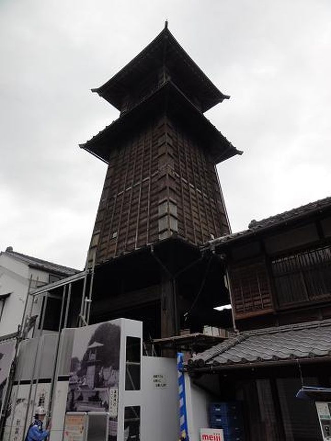 蔵の街・小江戸川越と曼珠沙華の巾着田、ご当地出発（茨城県内）日帰りバスパック旅行に参加しました。残念ながら曼珠沙華は終わってて、ちらほら開花し始めたコスモス畑の見学になりました。