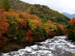 「愛犬ハルといっしょに群馬・栃木県境ドライブ」　山賊焼・標高2000mで足湯・硫黄泉の貸し切り風呂・竜頭の滝・あんど飛ぶ犬（笑）