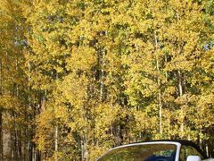 ロッキー山脈の黄葉 ２０１５年秋