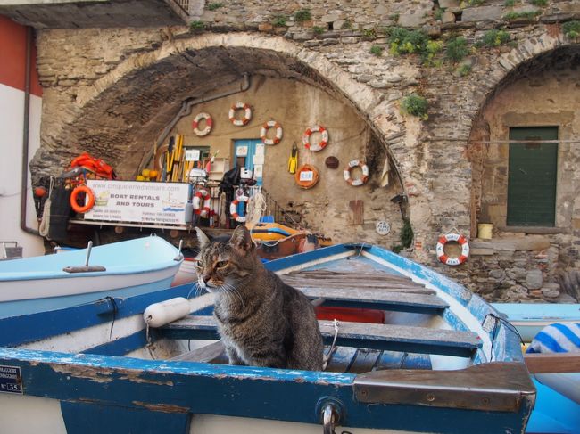 今年のイタリア旅行はミラノを拠点に北部をまわりました。<br /><br />★今回の旅程★<br /><br />9/27〜9/29 ミラノ泊 <br />9/29〜10/1 ラ・スペツィア泊<br />10/1〜10/3 パルマ泊<br />10/3〜10/4 ミラノ泊<br /><br />チンクエテッレについては色々調べていたのですが、なかなか現地が想像できませんでしたが、行ってみてわかったぞ！<br />可愛らしい村々が海岸線に沿ってあり、昨年訪れたアマルフィー海岸よりは素朴な印象。<br />しかしながら、素敵なレストランもあり、幸いお天気にも恵まれ、のんびりと過ごしました〜♪