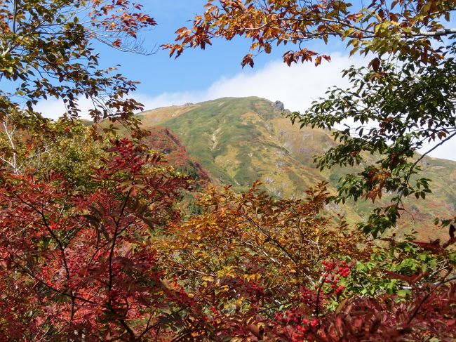 １０月４日に猿ヶ京温泉で中学の同窓会があり、一泊するでついでに<br />谷川岳の紅葉でも見てくるか、と思い出かけてみました。<br />朝起きてみると道路が濡れている、山のガスが上がり始めていたので決行。<br />前回の乗鞍と同じような天気で途中から青空が広がり、紅葉もばっちりで初めての<br />一人登山を楽しむことができました。
