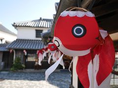 山口県柳井市の金魚ちょうちんに会いに♪