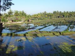 15年7月～初めてのインドネシア●２ にぎやかな通りから田んぼまで、歩いて回るバリ・ウブドゥ