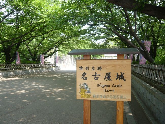 <2008年GW> 三重県、愛知県、岐阜県をめぐる旅。<br /><br />セントレア空港からレンタカーでまわります。<br /><br />鳥羽水族館、伊勢神宮、名古屋城、熱田神宮<br />飛騨高山へ向かい<br />宮川朝市、古い町並みを散策。<br /><br />快晴続きの4日間でした。<br /><br />宿泊は<br />【伊勢志摩】鳥羽シーサイドホテル<br />【飛騨高山】本陣 平野屋<br /> その他 名古屋市内<br />