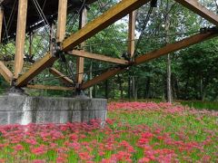 川越 食べ歩きと 五百万本の彼岸花を楽しみに．．．？