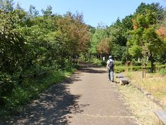 お手軽登山　百々ヶ峰