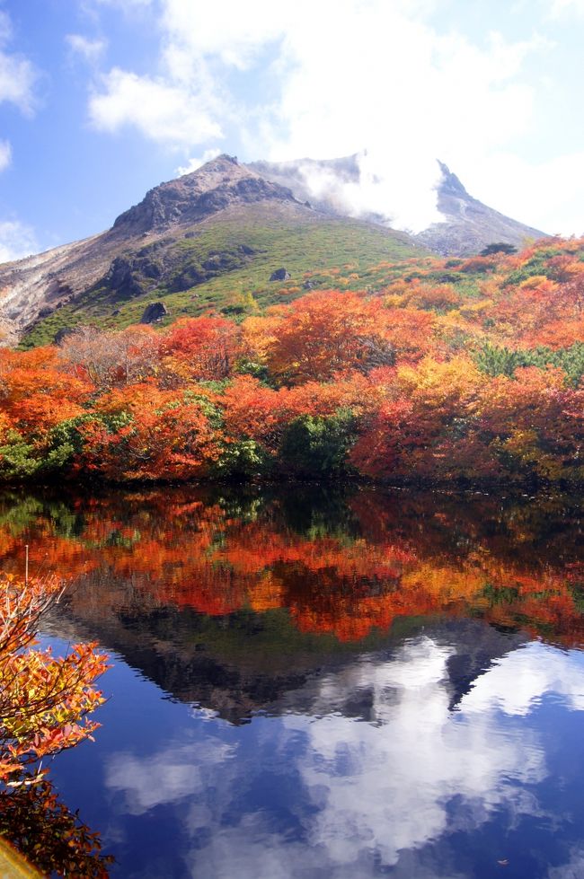 ☆今年も紅葉巡りのスタートは『山燃ゆる那須岳の紅葉紀行』からです。<br />私は福島県民ですが、なんと言っても我が家から一番近くて真っ先に紅葉の見頃を迎えるのが那須岳なんです。<br />もちろん磐梯吾妻や安達太良山も同時期で紅葉も素晴らしいのですが、那須連峰は福島との県境の山なので我が家からなら車で１時間と３ヶ所の中では最短。<br />紅葉と噴煙上がる茶臼岳のコラボレーションも秀逸で日本が世界に誇れる絶景の一つではないでしょうか。<br />ほぼ毎年のように出かけていますが、同じ紅葉でもその時の天気によって様々な表情を見せてくれるので何度出かけてもあきることはありません。<br />今年の紅葉の見頃は今週末（１０/１０〜１０/１２）くらいまでしょうか（山頂周辺）。<br />ぜひお出かけください。<br /><br /><br />ちなみに、私が出かけた１０/６の時点で紅葉が見頃なのは那須ロープウェイより上の地域で<br />山麓駅より下はほとんど紅葉していません。お出かけの方は最新情報をご確認ください。<br /><br />※那須観光協会<br />http://www.nasukogen.org/<br /><br />※那須ロープウェイ<br />http://toya108.jp/nrw/<br /><br /><br /><br /><br /><br />