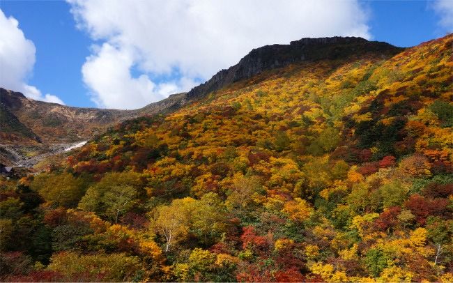 トレッキング初心者ながら、紅葉に染まる山はもっとも楽しみは山行です。<br />今年もそのシーズンがやって来ました！<br />天気と紅葉の進み具合 それに休みを考慮して、今年は福島県の百名山・安達太良山へ行ってきました。<br />昨年･那須で見た紅葉は、真っ赤に染まる自分史上最高の紅葉でしたが、<br />安達太良山の紅葉は赤･黄・緑の織成す まさしく「錦」<br />今年の黄色は常連さんもすばらしい、と絶賛の色合いで、今年も大満足の景色を愛でる山歩きができました。<br />