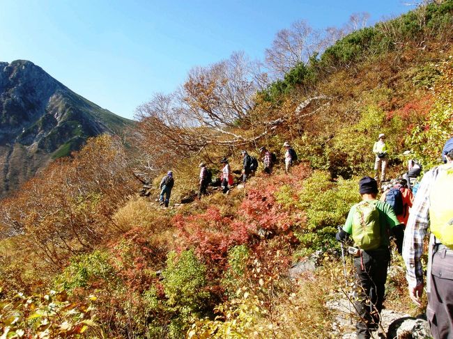 久喜山歩会創立２０周年記念山行は木曽駒ヶ岳・宝剣岳に決まり、宝剣山荘に宿泊して、中央アルプスの紅葉を楽しむ企画となりました。<br /><br /> 紅葉の木曽駒ヶ岳・宝剣岳を歩く・・・<br /><br />①久喜市を出発から・千畳敷カールを歩き宝剣山荘まで<br />②宝剣山荘から中岳・木曽駒ヶ岳往復<br />③宝剣岳往復<br />④早朝の日の出と雲海に浮かぶ富士山・南アルプス・八ヶ岳・御嶽山に歓喜<br />⑤紅葉の大人コース（宝剣山荘ー頂上山荘ー馬の背ー黒澤分岐ー濃ノ池ー駒飼ノ池ー宝剣山荘）<br /><br />⑥宝剣山荘から千畳敷カールを八丁坂分岐で遊歩道を歩き剣ヶ池・千畳敷駅<br /><br />※⑤今日は早朝から快晴、宝剣山荘から黒澤分岐の周遊コース、雲海と紅葉そして、富士山・北岳を中心とした南アルプス・八ヶ岳・槍ヶ岳・穂高岳・乗鞍岳の北アルプス、噴煙揚げる御嶽山と素晴らしいトレッキングとなりました。<br />