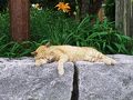 宿毛の旅行記