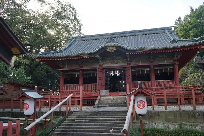 平成27年は、元和2年(1616)4月17日に家康公が薨去されて400年目にあたる年。地元静岡を始め各地で家康公400年祭のイベントやお祭が開催されています。<br />東照宮は、東照大権現たる徳川家康を祀る神社で、江戸時代には全国で500社を超える東照宮が造られたようですが、明治維新以後に廃社や合祀が相次ぎ、現存するのは約130社とされているようです(全国東照宮連合会の「全国東照宮めぐり」には加盟社として46社が載っていました)<br /><br />以前から各地の東照宮を参拝していたのですが、今回あらためて東照宮めぐりをしてみることにしました。<br /><br />①前橋東照宮(群馬県前橋市)<br />②世良田東照宮(群馬県太田市)<br />③徳川東照宮(群馬県太田市)<br />