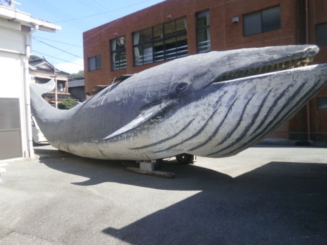 下関から山陰を北上中<br /><br />千畳敷を訪ねた後は、青海島まで足を伸ばしくじら資料館にも寄って見ました。<br /><br />又この旅で一番のサプライズに出会ったのもこの時です。<br /><br />そんな　長門の旅の様子です。<br /><br />