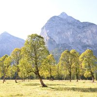 チロルの大自然と小さな村【9】隠れた黄葉スポット、アーホルンボーデン