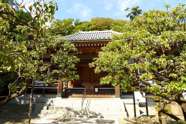 大磯町にある地福寺は真言宗東寺派のお寺で船着山地福寺という。承知4年(837年)に創建された古寺である。大磯の名は、「和名抄」に見える余綾郡伊蘇郷に比定される。また、天平10年(738年)、正倉院御物の白布墨書に「 郡大□ 大磯里戸磯部白髪 調并庸布壱端」とある。大磯宿の形成は鎌倉期に遡るが、「国府」の地名(平安時代末期からの相模国の国府があったところか?)も残り、古代には既に存在していたことが分かる。平安時代前期に地福寺が創建されているが、同じ大磯町にある六所神社の創建の年は崇神天皇甲申年(崇神天皇元年(594年)または61年(624年)であると考えられる。)、同じ大磯町にあった高麗寺の創建は養老元年(717年)と伝えられるから、それらに次ぐ古さである。<br /> 慶長6年(1601年)になって東海道五十三次の宿場として大磯宿が3つの本陣がある宿場町となるが、江戸時代に亘ってあった小島本陣と尾上本陣の間に地福寺参道が位置している。また、小島本陣を営んでいた小島家の墓が地福寺境内の山門裏手にある。<br /> 地福寺境内には小島家の墓の他に、戦中戦後に島崎藤村夫妻の墓が造られた。<br /> 春は梅の名所と言われているが、この時期はフヨウとイヌサフランが咲いている。<br /> また、横の墓地には六地蔵があるが、墓地にある六地蔵は円覚寺墓地、古川神明神社(川崎市幸区古川町)前の墓地に次いで3例目である。<br />(表紙写真は地福寺本堂)