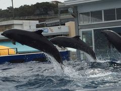 越前松島水族館と六甲山牧場 二泊三日の旅