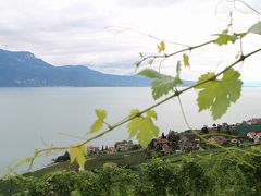 スイス・ツェルマットからの…レマン湖北岸ラヴォー地区の葡萄畑へ